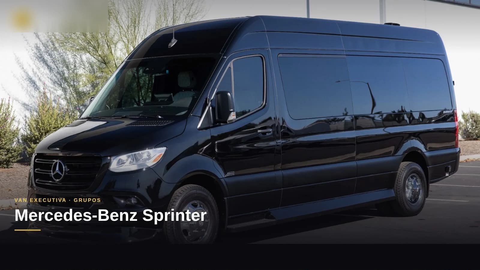 Executive Sprinter Van